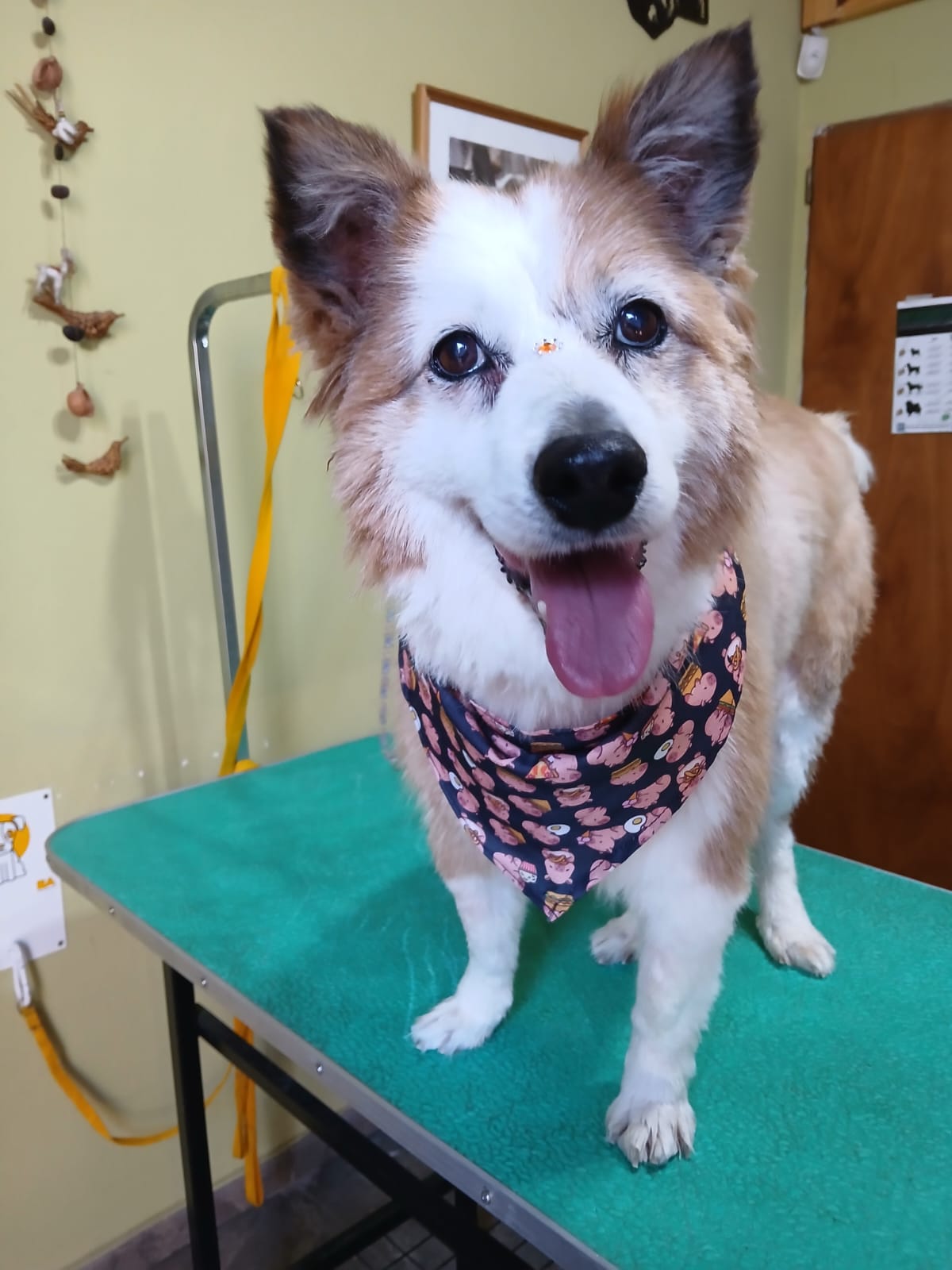 WhatsApp Image 2026-03-04 at 8.37.41 PM (1)