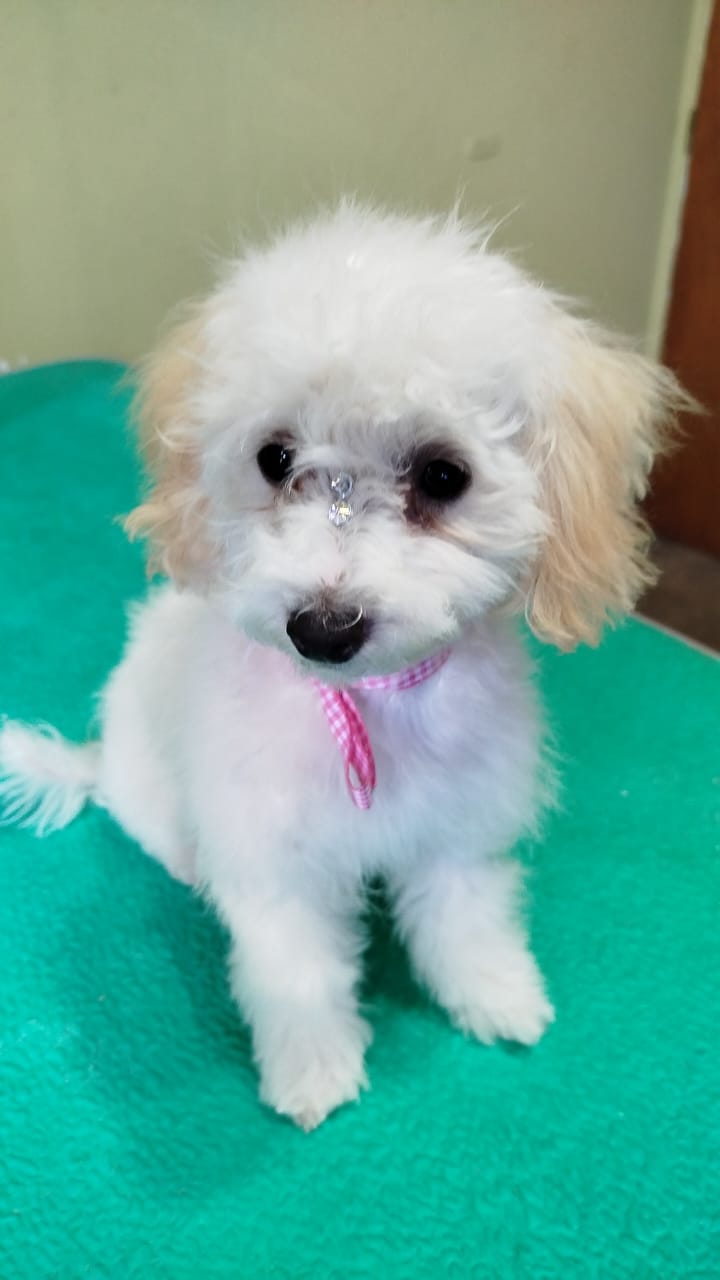 WhatsApp Image 2026-03-04 at 8.37.41 PM (2)