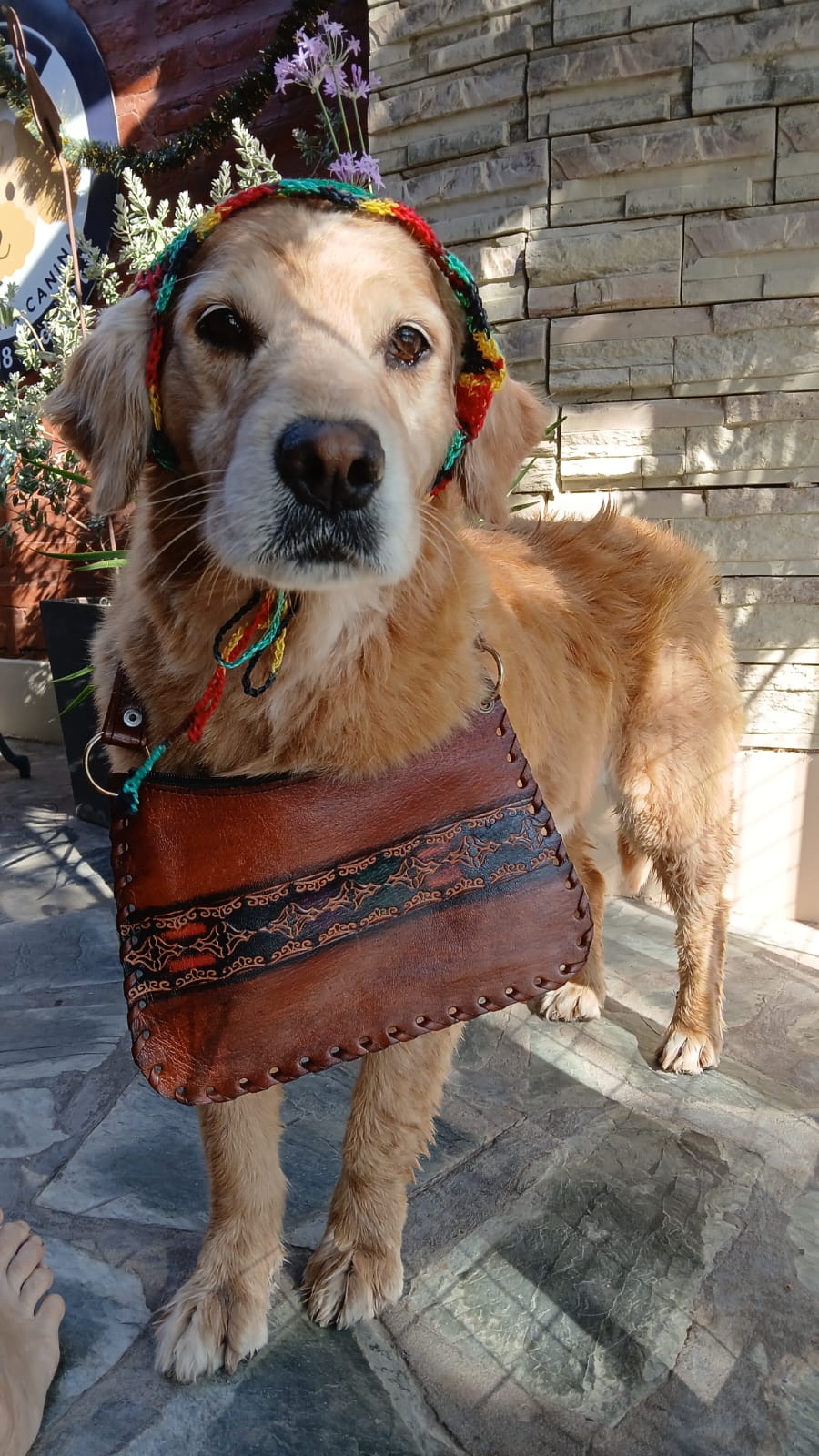 WhatsApp Image 2026-03-04 at 8.37.41 PM