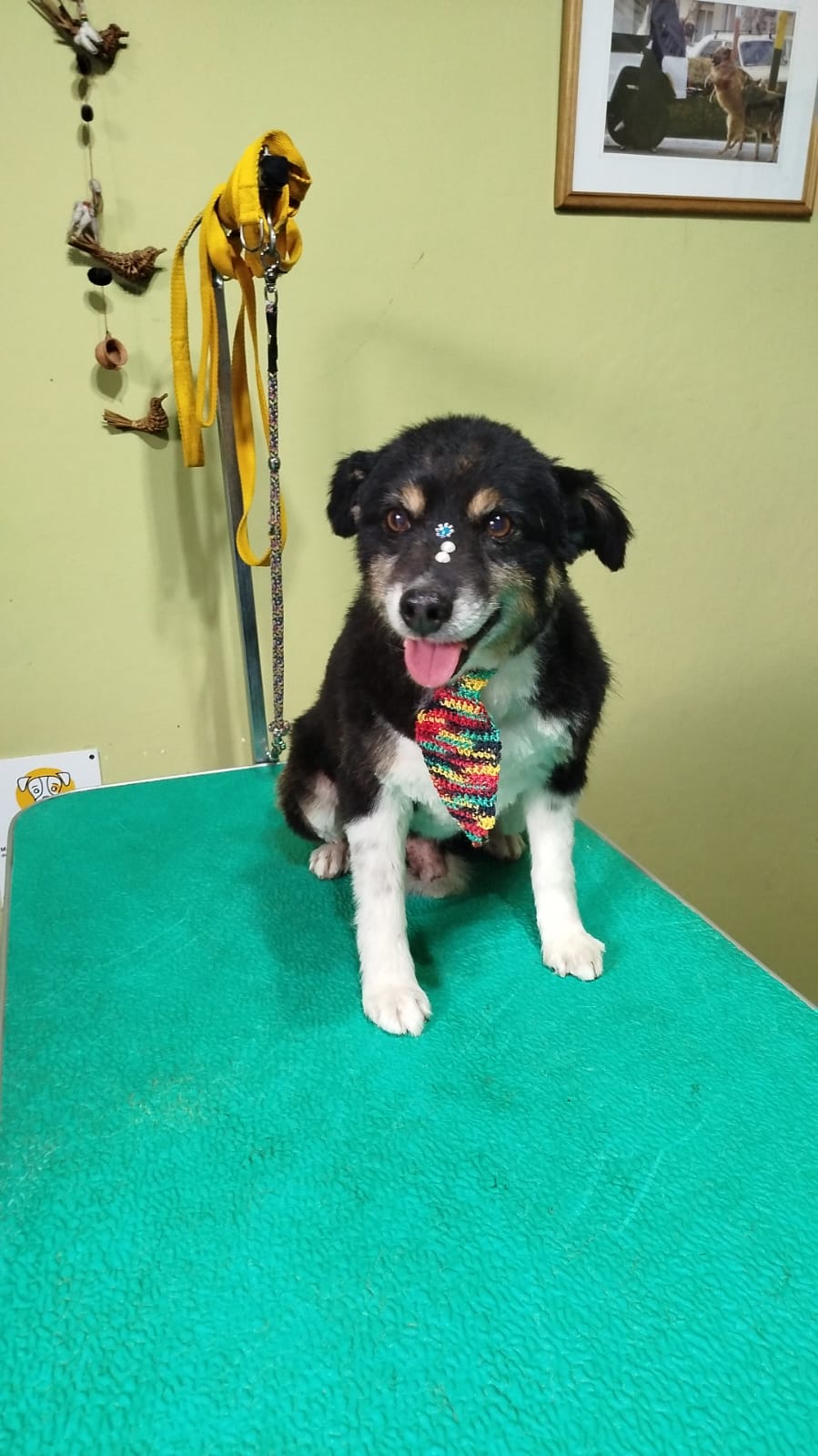 WhatsApp Image 2026-03-04 at 8.37.42 PM (1)