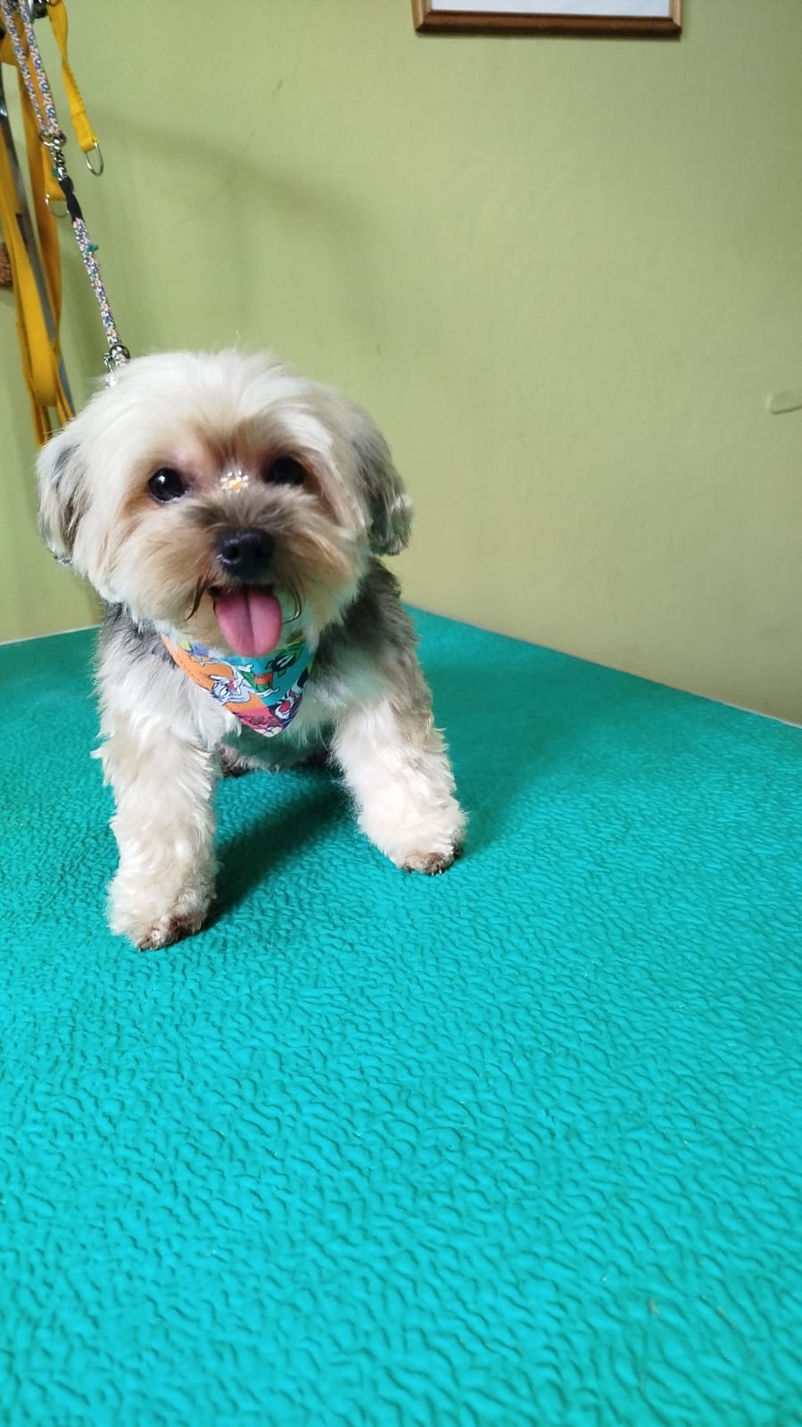 WhatsApp Image 2026-03-04 at 8.37.42 PM (2)