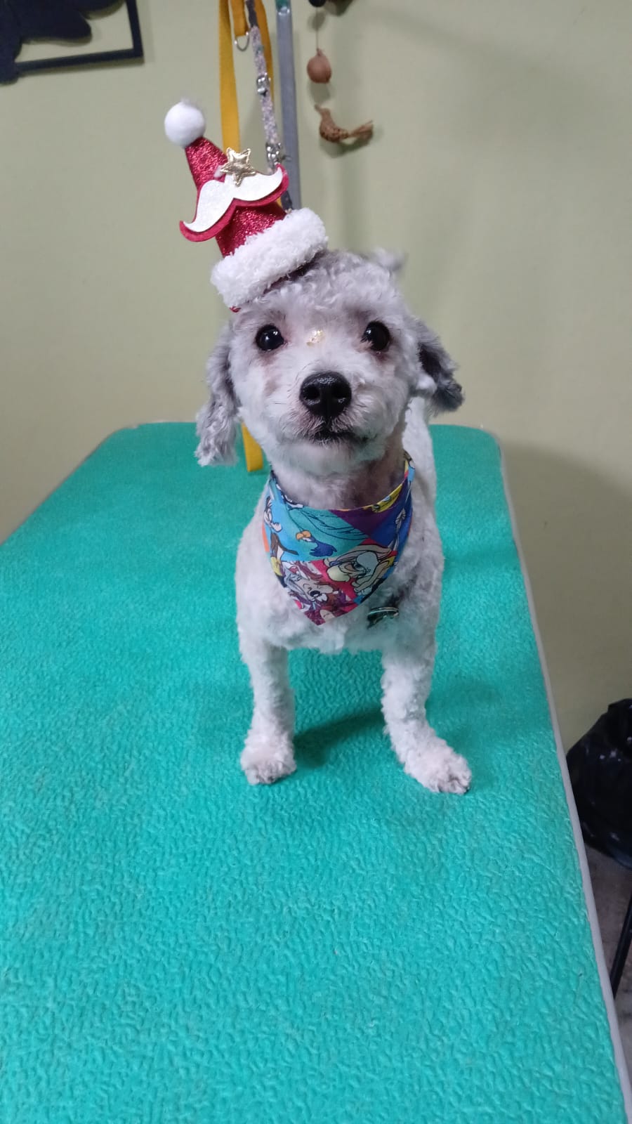 WhatsApp Image 2026-03-04 at 8.37.42 PM (3)