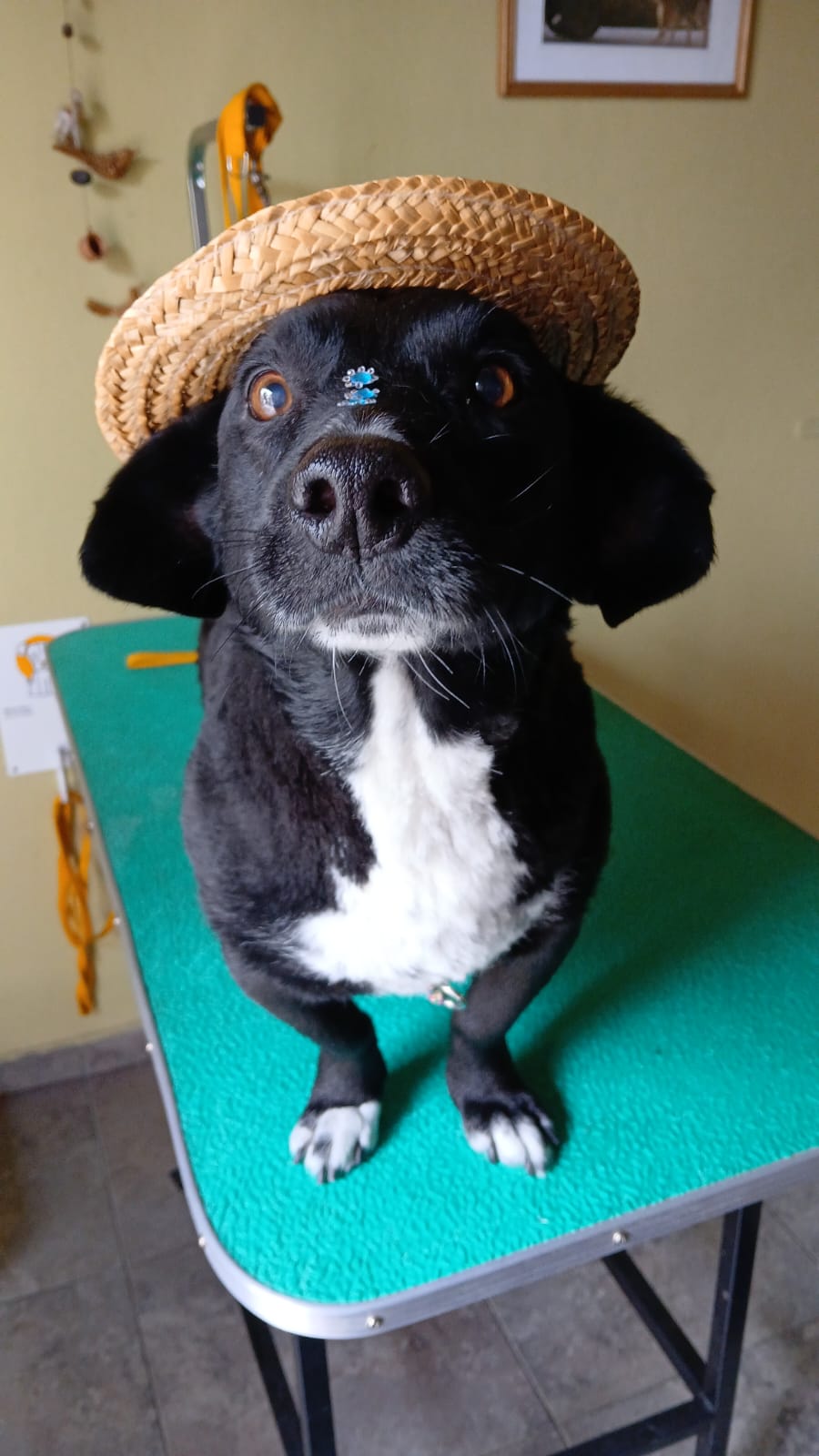 WhatsApp Image 2026-03-04 at 8.37.42 PM