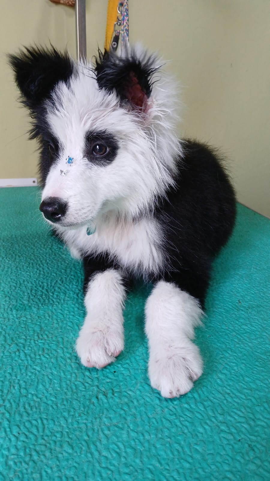 WhatsApp Image 2026-03-04 at 8.37.43 PM (1)