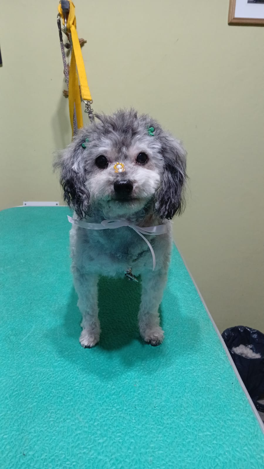 WhatsApp Image 2026-03-04 at 8.37.43 PM (2)