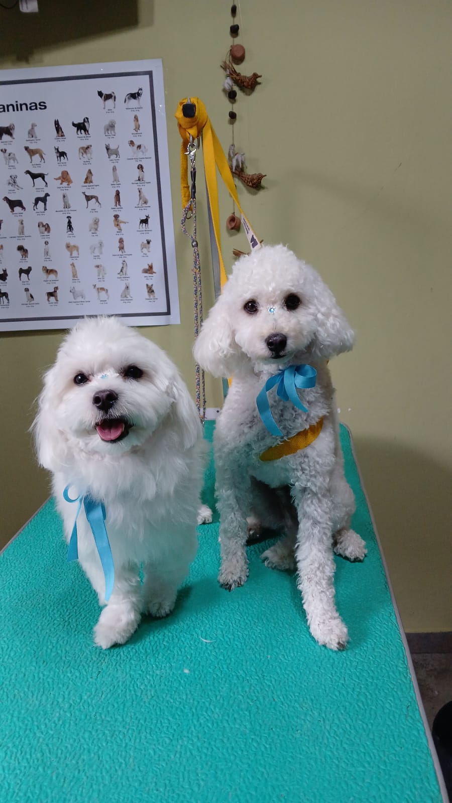 WhatsApp Image 2026-03-04 at 8.37.43 PM